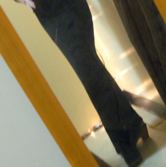 Meet your Posher, Teddi - Picture 4 of 4